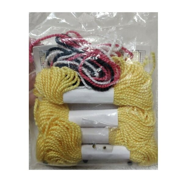 *3 FOR $9* NEW Set of 2 Quick Count Plastic Canvas 7-mesh Noah's Ark Lions Kit - Picture 2 of 2